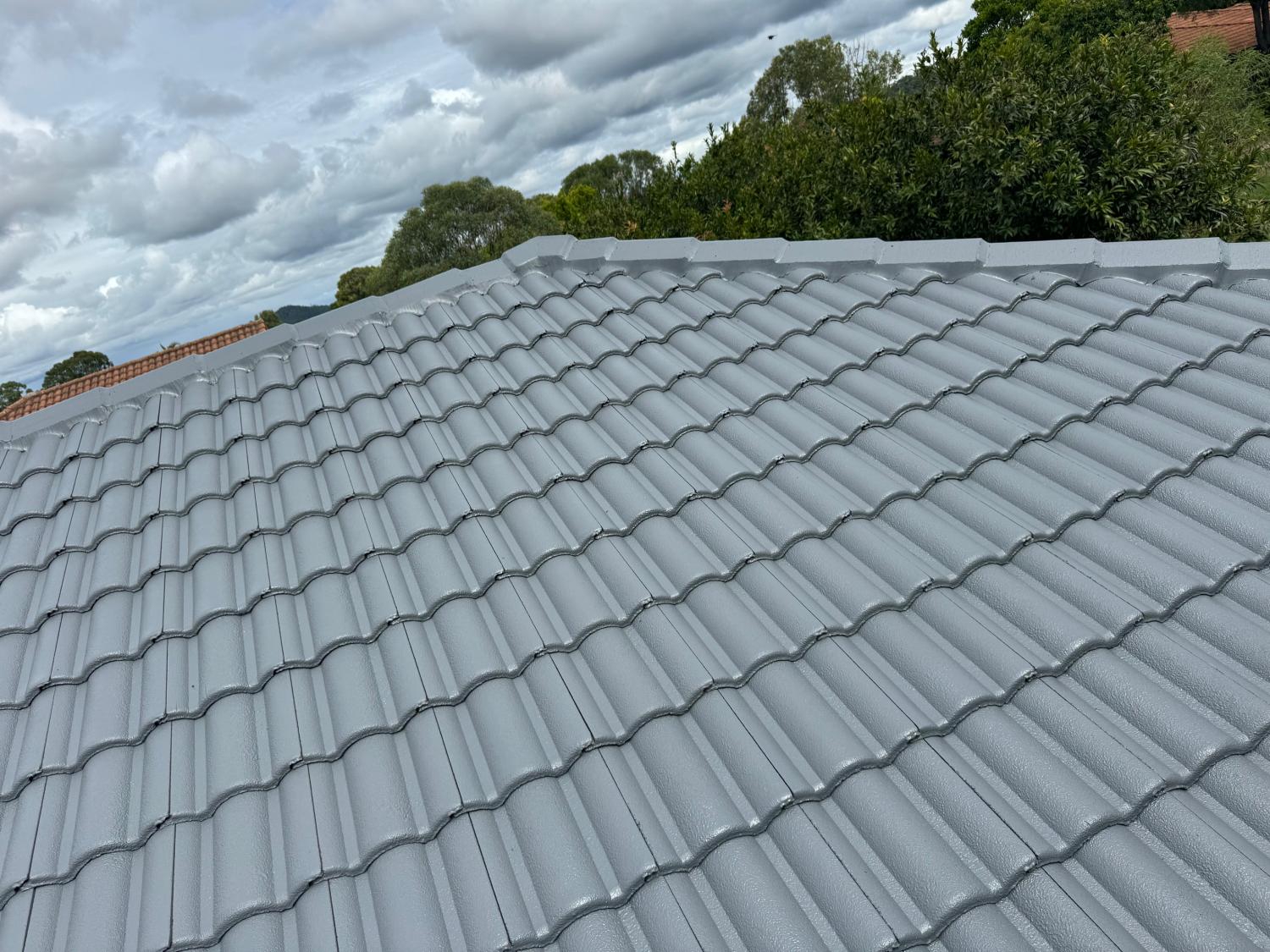 Image 2 for Full Roof Restoration Coomera